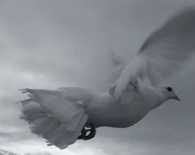 Materia dormida Materia dormida