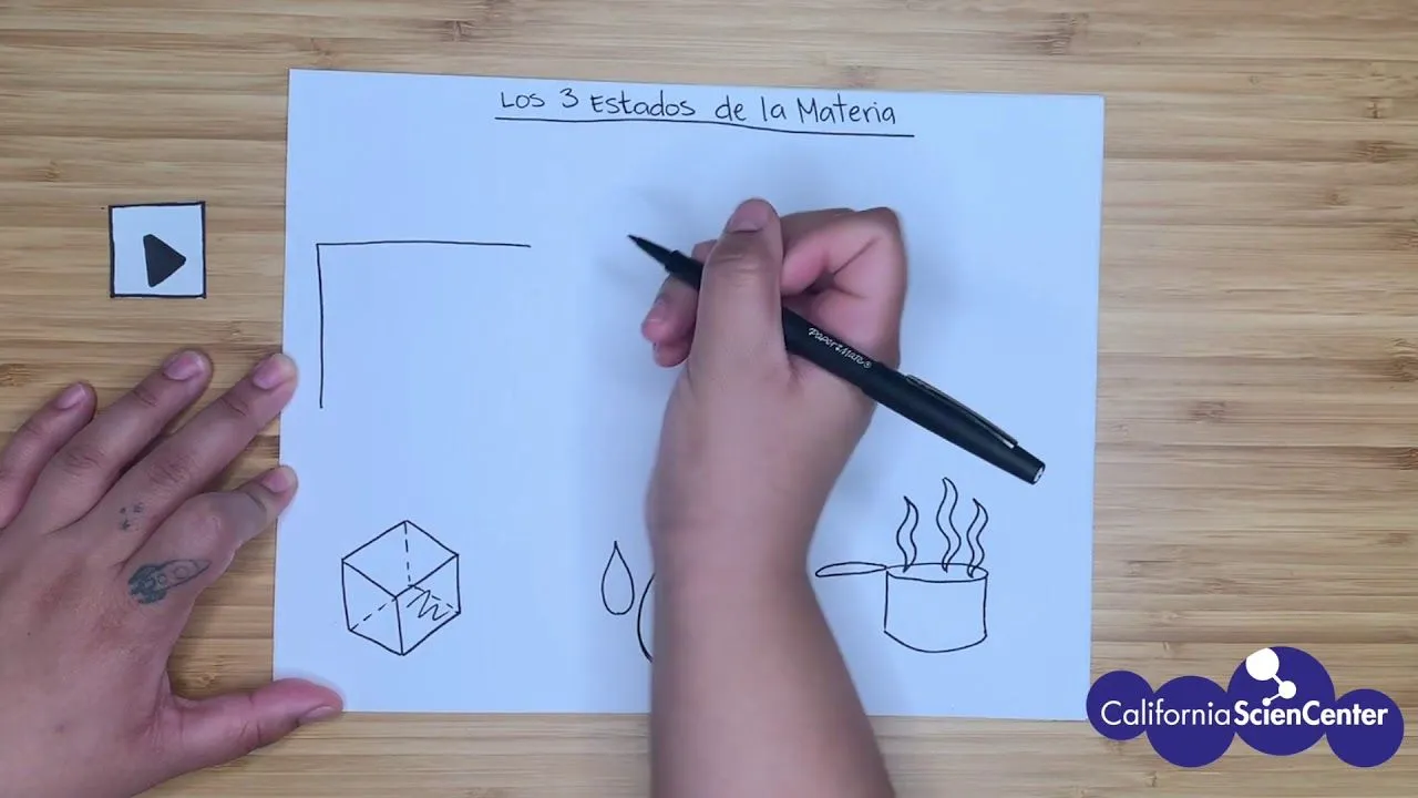 Los Tres Estados de la Materia - Stuck at Home Science - YouTube
