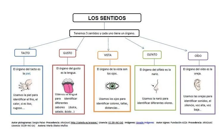 Material Adaptado 3º. Naturales. Esquema Sentidos | Entradas de mi ... Material Adaptado 3º. Naturales. Esquema Sentidos | Entradas de mi ...