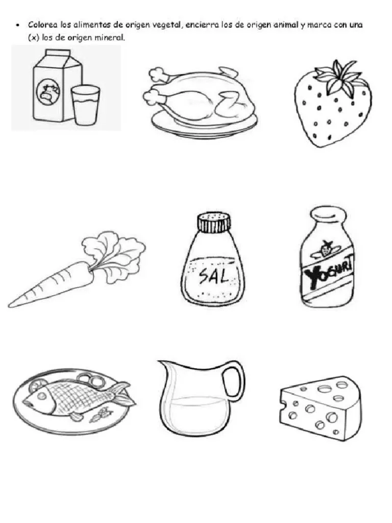 Material Agosto | PDF
