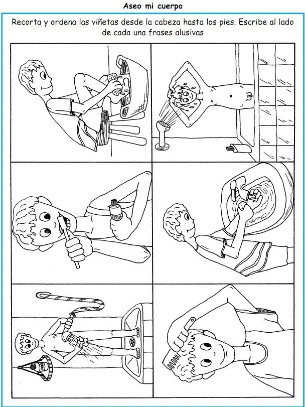 material del cuerpo humano – El rincon de Tsukino material del cuerpo humano – El rincon de Tsukino
