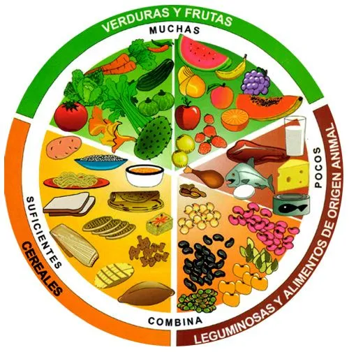 Dibujo del plato de buen comer para colorear - Imagui