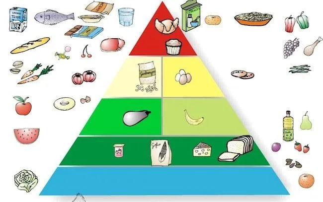 Actividades del plato del buen comer para niños - Imagui