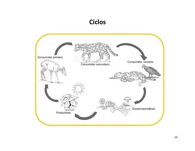 material didactico educación ambiental para Escuela Shiroles material didactico educación ambiental para Escuela Shiroles