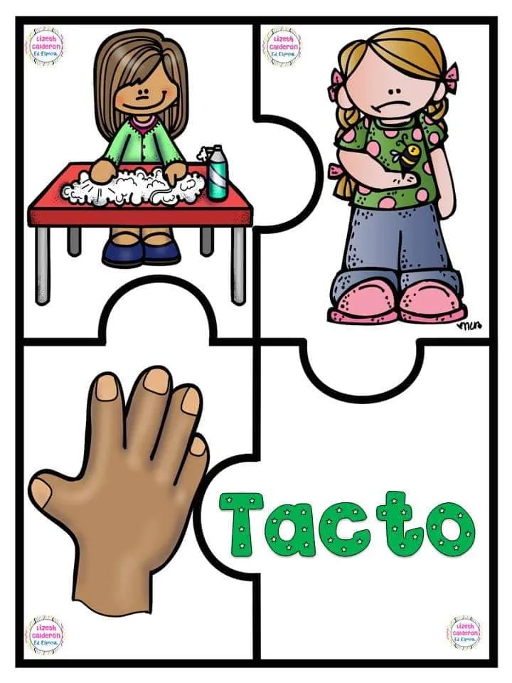 Material Educativo para los Cinco Sentidos | Materiales Educativos para Maestras Material Educativo para los Cinco Sentidos | Materiales Educativos para Maestras