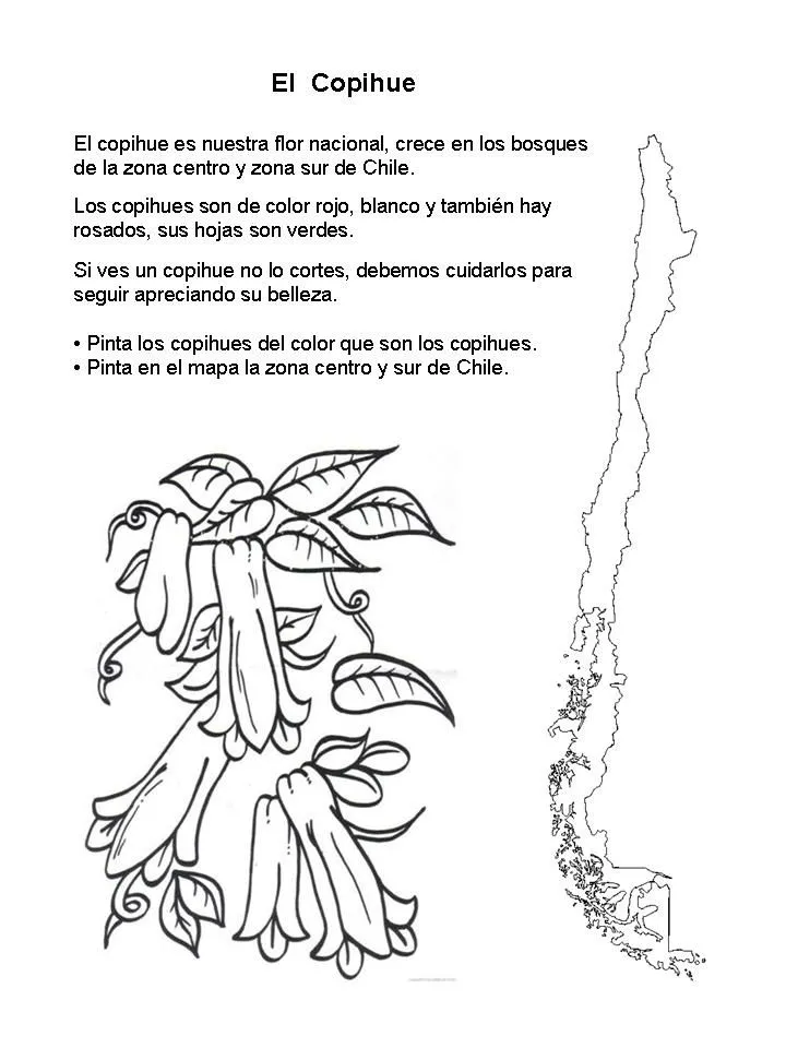 Material pedagógico Dixie Andaur: Ficha EL COPIHUE Material pedagógico Dixie Andaur: Ficha EL COPIHUE