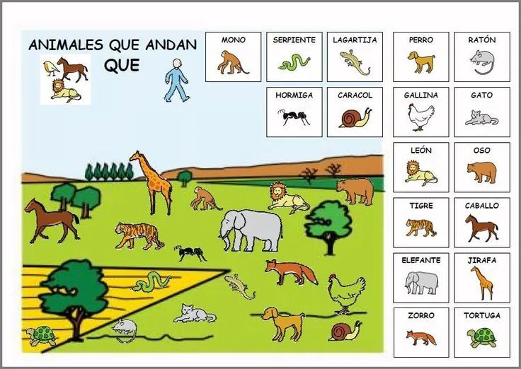 MATERIALES - Los animales: Clasificación. Power Point sobre los ... MATERIALES - Los animales: Clasificación. Power Point sobre los ...