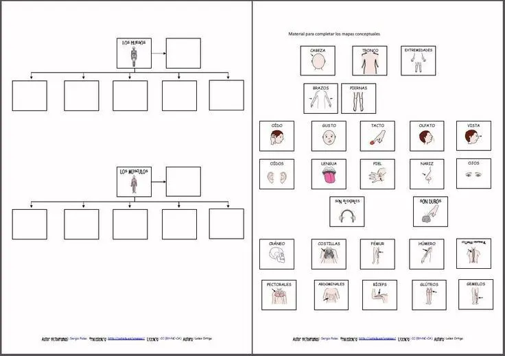 MATERIALES - El cuerpo humano - Conozco mi cuerpo: mapas ...