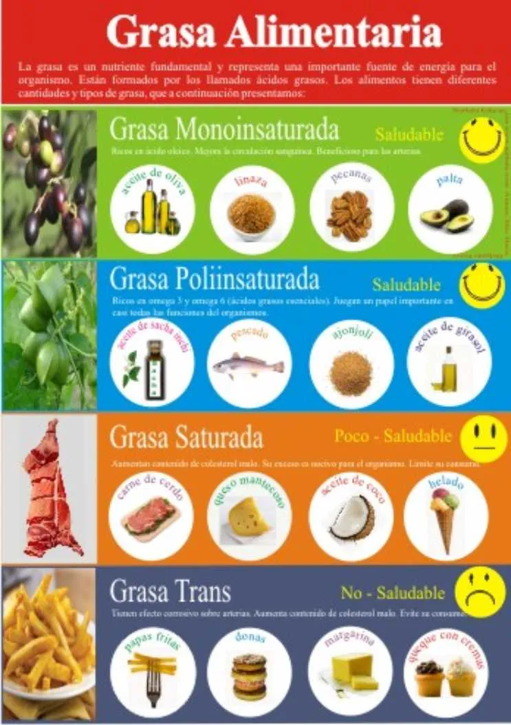 Materiales Educativos – Evidencias en nutrición pública Materiales Educativos – Evidencias en nutrición pública