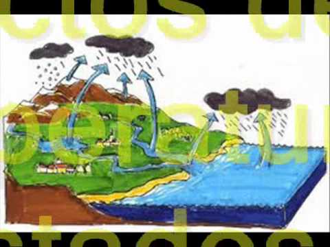estados de la materia.wmv - YouTube