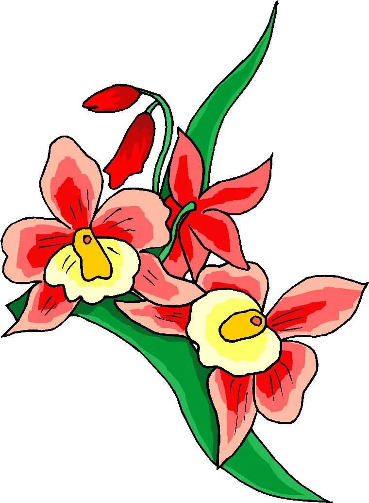 matura_fiori_16 clipart della natura