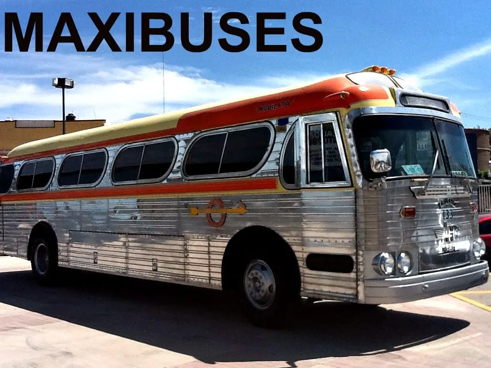 MAXIBUSES: GRUPO FLECHA AMARILLA