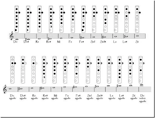 Maximiliano Silva Lopez: Aprendamos otras notas en la flauta dulce. Maximiliano Silva Lopez: Aprendamos otras notas en la flauta dulce.