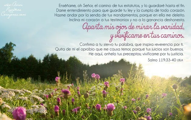 Mayo 14 | Salmo 119:33-40 | Fondos de Pantalla | Aviva Nuestros ... Mayo 14 | Salmo 119:33-40 | Fondos de Pantalla | Aviva Nuestros ...