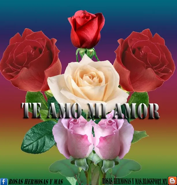 mayo 2013 ~ ROSAS HERMOSAS Y MAS