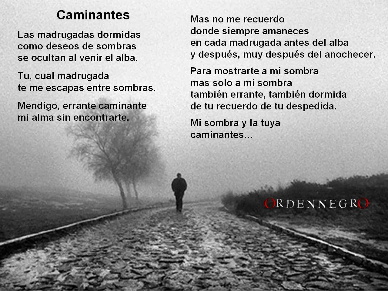 SIN SENTIDO APARENTE | CUANDO MI VOZ CALLE CON LA MUERTE, MI ... SIN SENTIDO APARENTE | CUANDO MI VOZ CALLE CON LA MUERTE, MI ...