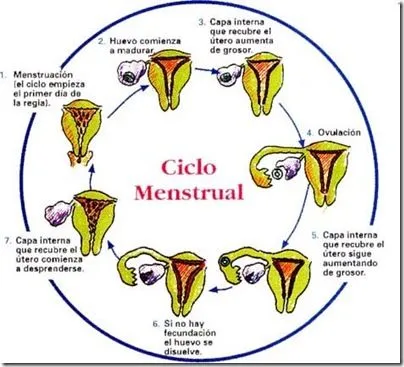 Medianoche Tropical: Tips relacionados a las pastillas anticonceptivas