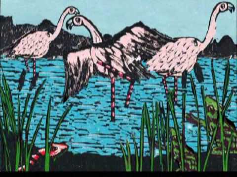 LAS MEDIAS DE LOS FLAMENCOS - YouTube