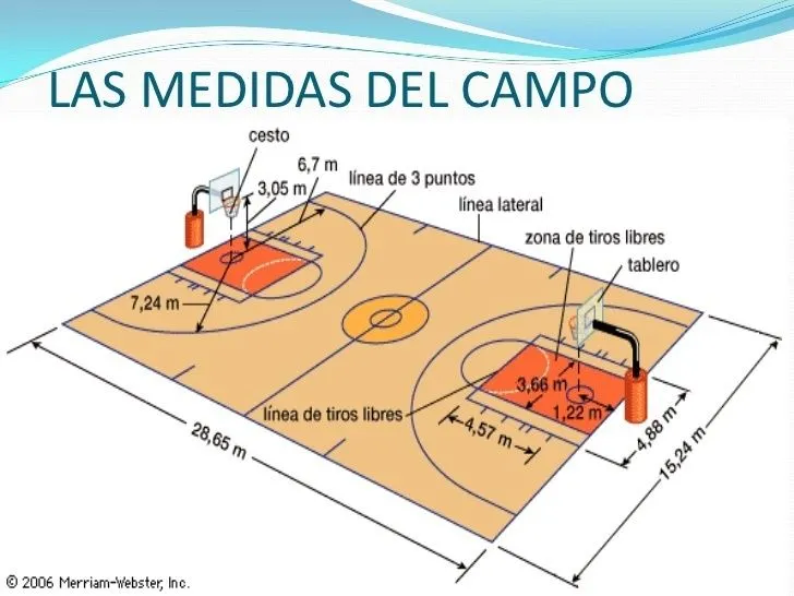 cual es la medida minima de una cancha de basquet - Brainly.lat cual es la medida minima de una cancha de basquet - Brainly.lat