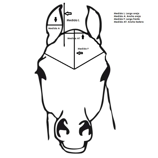Medidas Orejeras – Orejeras para caballo y mucho mas Medidas Orejeras – Orejeras para caballo y mucho mas