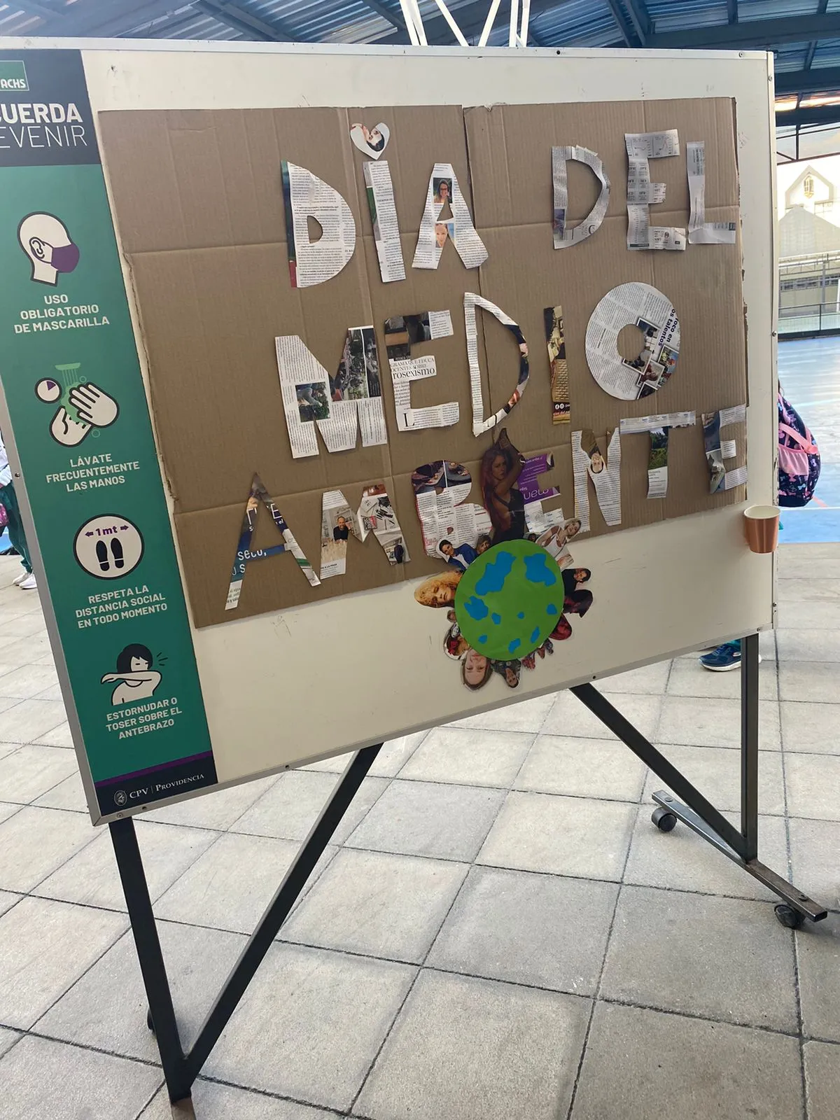 Día del Medioambiente - Colegio Pedro de Valdivia Providencia Día del Medioambiente - Colegio Pedro de Valdivia Providencia