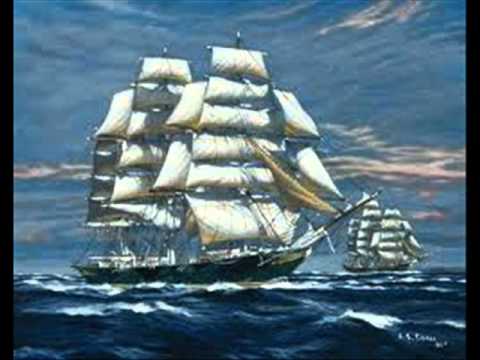 MEDIOS ACUATICOS .wmv - YouTube