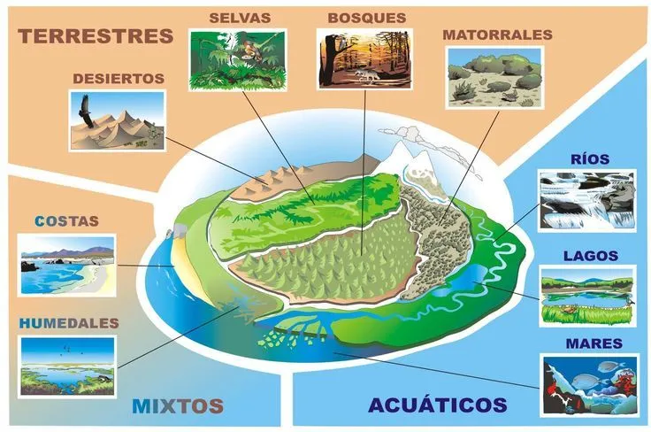 trabajar los medios de los animales terrestre, acuático y aereo en ...