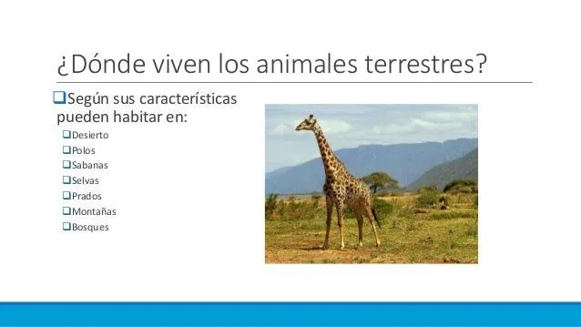medios-donde-habitan-los- ...
