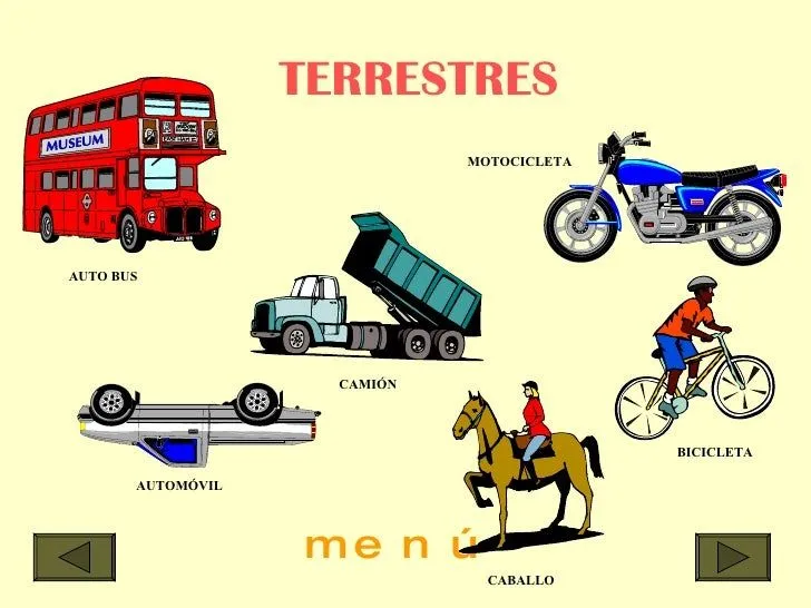 Medios De Transporte[1]