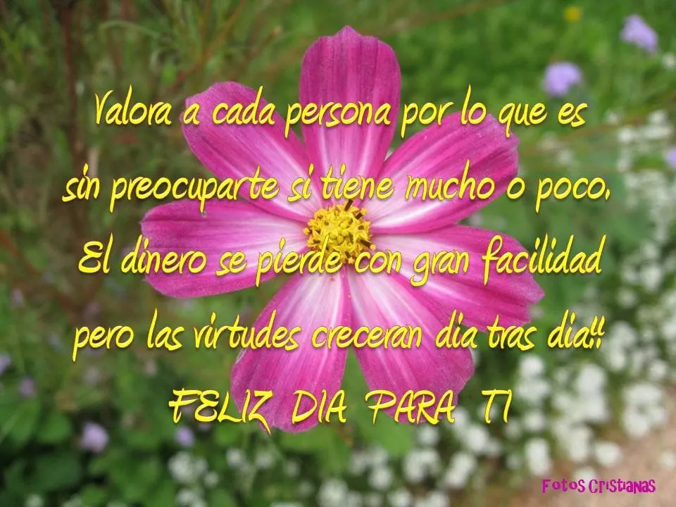 Meditaciones Diarias_ Tarjetas_Postales_Recursos Cristianos_ ... Meditaciones Diarias_ Tarjetas_Postales_Recursos Cristianos_ ...
