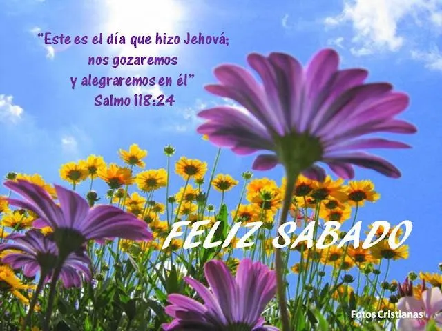 Meditaciones Diarias_ Tarjetas_Postales_Recursos Cristianos_ ...