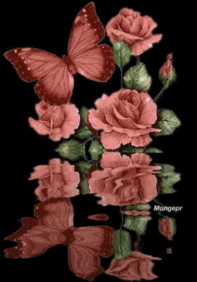 MEDITACIONES EN EL MAR ROJO - IMÁGENES: FLORES Y MARIPOSAS EN ...