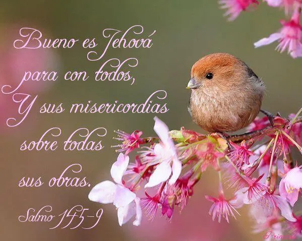 TARJETAS Y POSTALES CRISTIANAS GRATIS - Meditaciones - Reflexiones ...