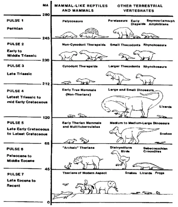 Megamamífero Herbívoro: Los pequeños gigantes Megamamífero Herbívoro: Los pequeños gigantes