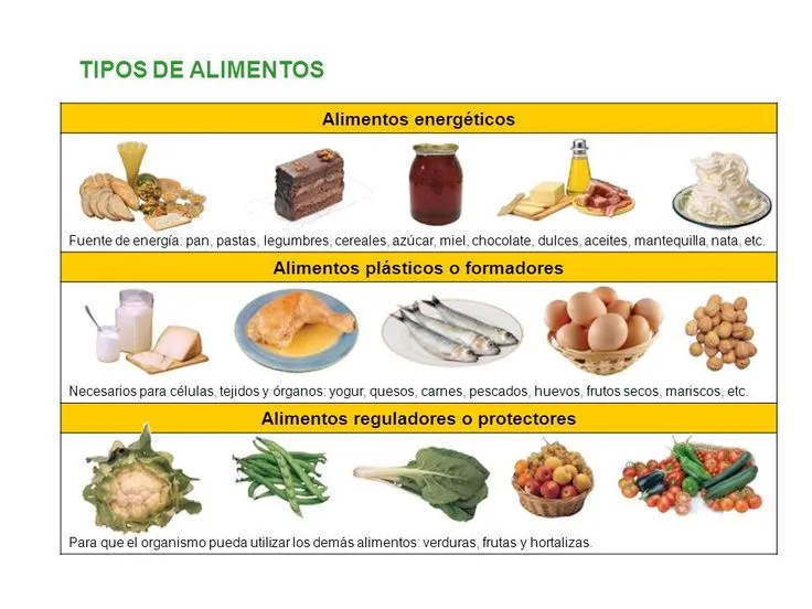 Las mejores 110 ideas de Actividades de nutrición en 2023 | actividades de nutrición, dibujos frutas y verduras, actividades Las mejores 110 ideas de Actividades de nutrición en 2023 | actividades de nutrición, dibujos frutas y verduras, actividades