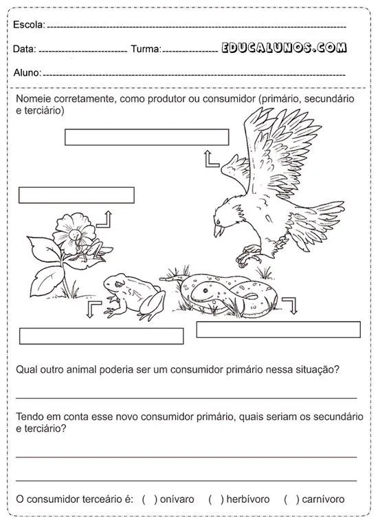 Las mejores 36 ideas de cadena alimentaria | ciencia natural, ciencias naturales, ciencias de la naturaleza Las mejores 36 ideas de cadena alimentaria | ciencia natural, ciencias naturales, ciencias de la naturaleza