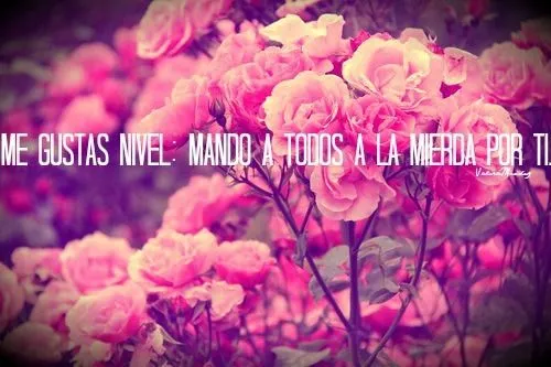 Las Mejores 50 Frases, Textos y Imagenes - Taringa! Las Mejores 50 Frases, Textos y Imagenes - Taringa!