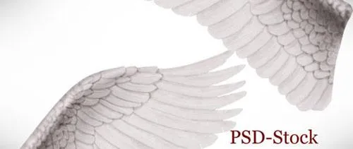 Los mejores 70 archivos gratuitos en PSD para los diseñadores ... Los mejores 70 archivos gratuitos en PSD para los diseñadores ...