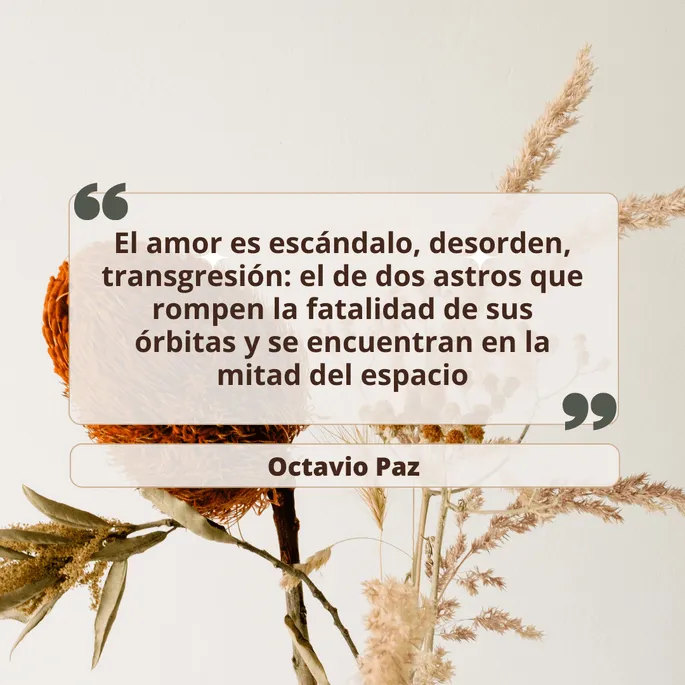 Las mejores 90 frases para aniversario de bodas Las mejores 90 frases para aniversario de bodas