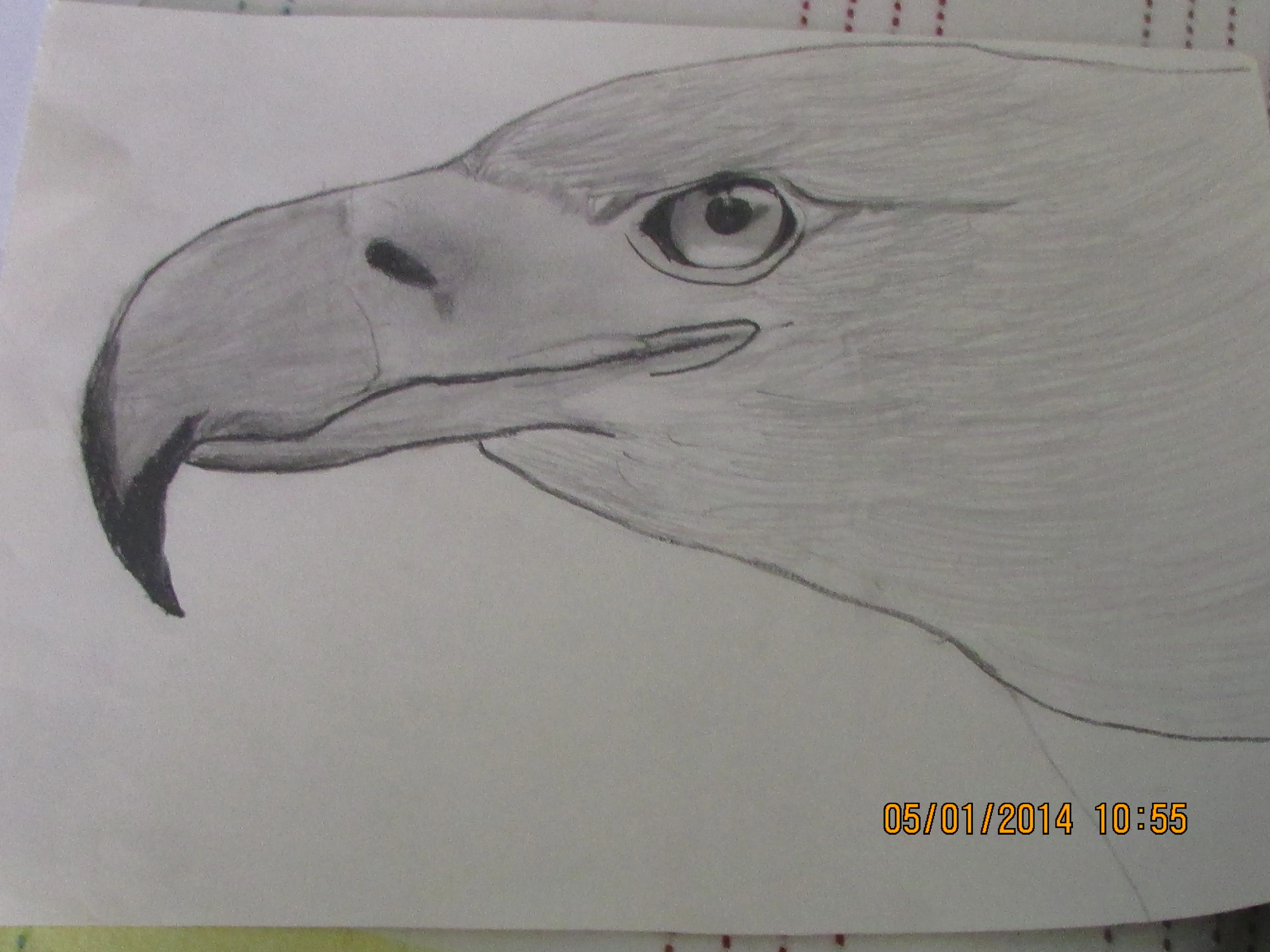 los mejores dibujos | El Dibujo Daniel Daza