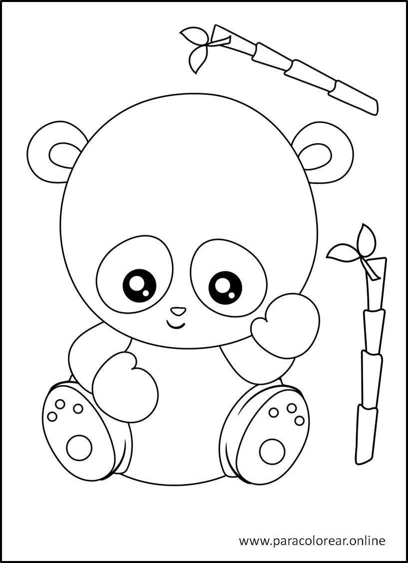 ▷ Los mejores Dibujos de Osos Panda para Colorear Imprimir y Pintar 
