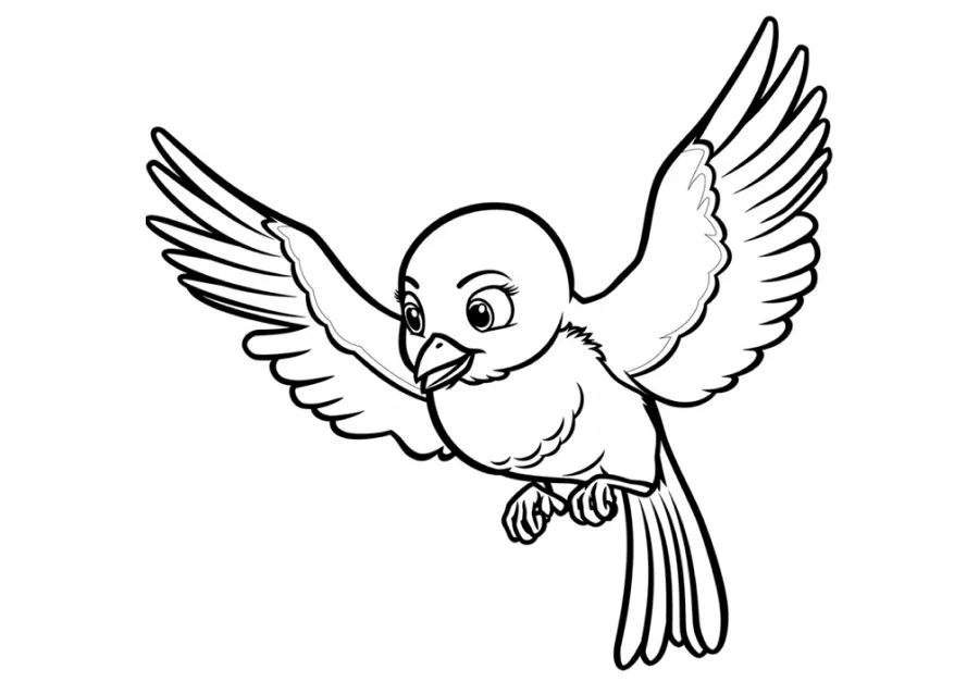 ▷ Los Mejores Dibujos de Pájaros para colorear ☀️ ▷ Los Mejores Dibujos de Pájaros para colorear ☀️