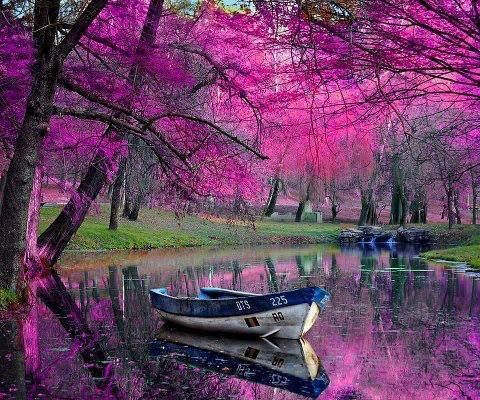 Los mejores fondos de escritorio: PAISAJES ENCANTADORES Los mejores fondos de escritorio: PAISAJES ENCANTADORES