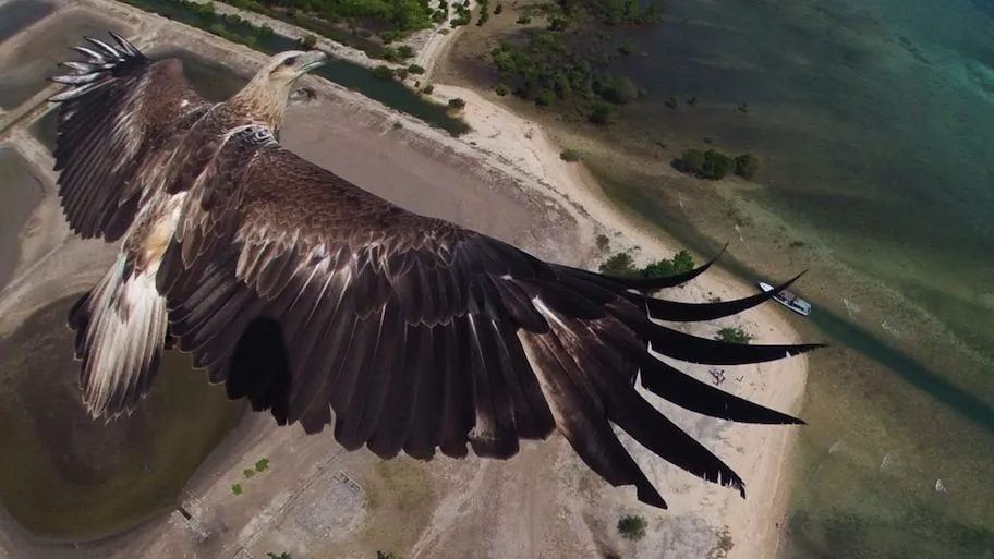 Estas Las Mejores Fotografías Capturadas Por Drones Del 2014 ...