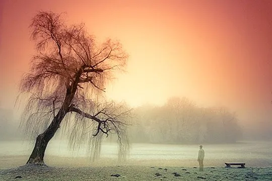 Las Mejores Fotografías del Mundo: Paisajes salvajes de la naturaleza. Las Mejores Fotografías del Mundo: Paisajes salvajes de la naturaleza.