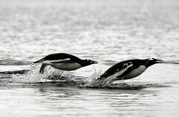 Las mejores fotos de la semana - 20minutos.es