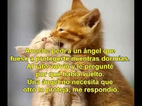 Mejores Frases de Amor para dedicar | Lindas Frases De Amor Para ... Mejores Frases de Amor para dedicar | Lindas Frases De Amor Para ...