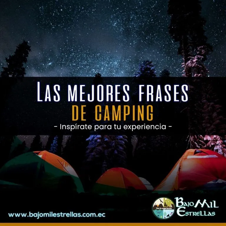 Las mejores frases de campamento - Bajo Mil Estrellas Las mejores frases de campamento - Bajo Mil Estrellas