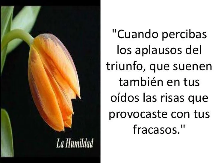 Las mejores frases sobre la honestidad