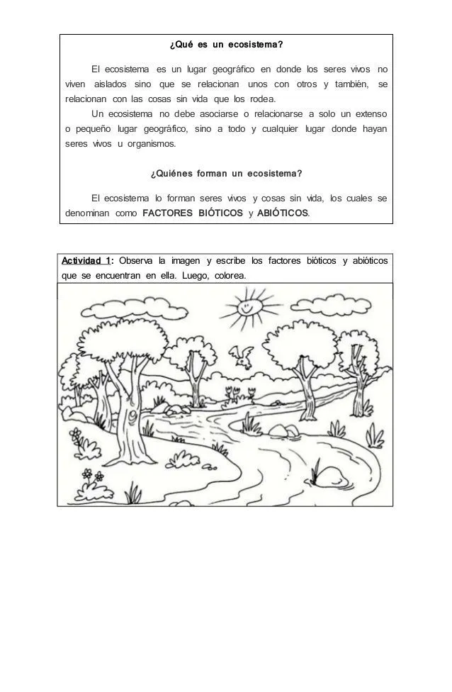 Las mejores 8 ideas de Factores bioticos y abioticos | factores bioticos y abioticos, ciencia natural, ciclos de vida de las plantas Las mejores 8 ideas de Factores bioticos y abioticos | factores bioticos y abioticos, ciencia natural, ciclos de vida de las plantas